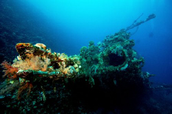 The Carnatic in the Egyptian Red Sea. by Dray Van Beeck 